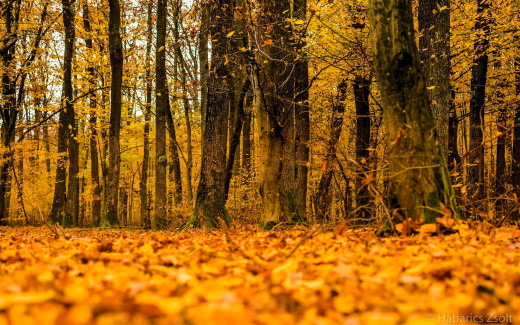 1754675 (a): :1920x1200